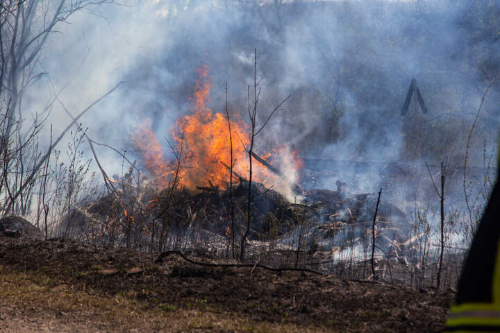 Das Feuer war wahrscheinlich durch einen Funken entstanden, zog sich bis zum angrenzenden Wald.
