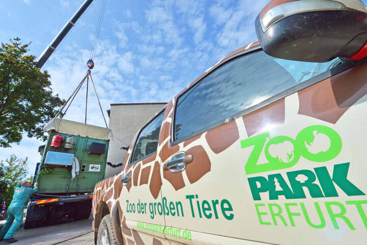 Der Erfurter Zoopark musste wegen der schweren Sturmböen schließen.