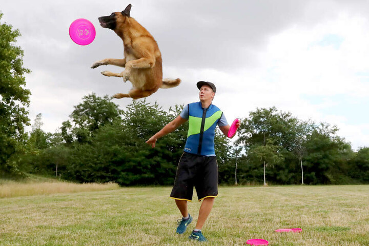 Thomas Fischer mit seinem Hund Bolle beim HundeFrisbee. Mit ihm ist er schon Europameister geworden.