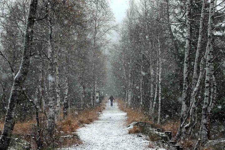 Ein Mann läuft im Schneetreiben durch das Hochmoor Kematsriedmoos.