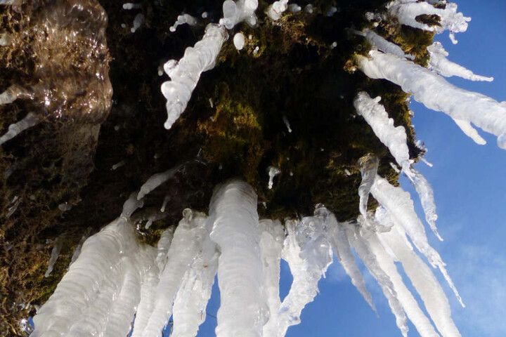 Meterlange Eiszapfen strecken sich wurzelgleich dem Erdreich entgegen.