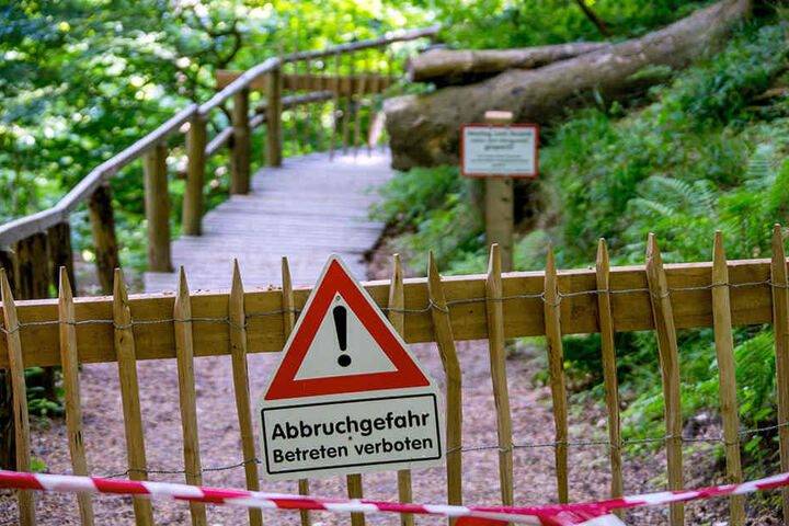 Nach Kreideabbrüchen gesperrte Wanderwege am Königsstuhl im Nationalpark Jasmund auf der Ostseeinsel Rügen.