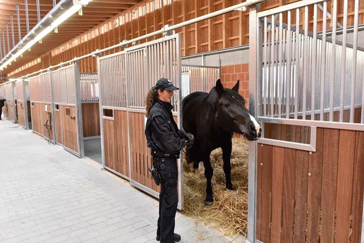 Ross und Reiterin in den neuen Stallungen in Stahnsdorf.