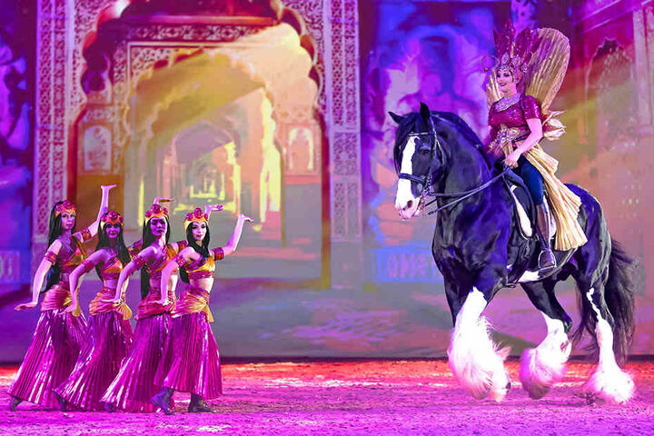 Imposante Größe: Fast zwei Meter große Shire-Horse-Pferde sind ebenfalls Teil der beiden Shows in Leipzig.