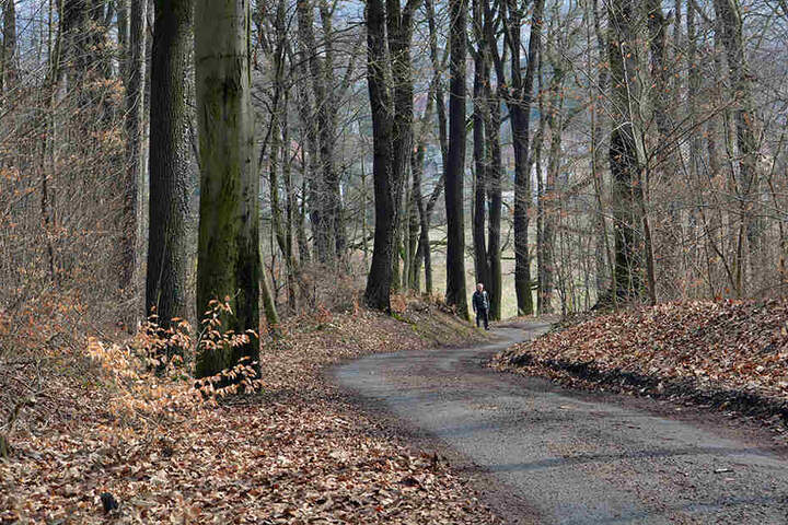 Hier am Weißenborner Wald spielte sich der rabiate Streit ab.