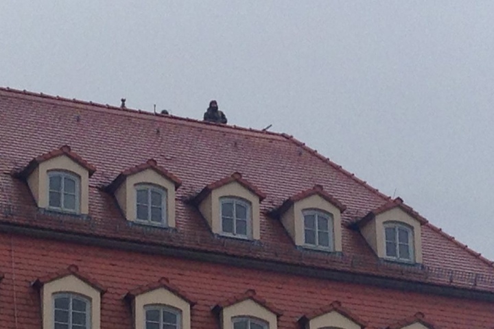 Auch auf dem Steigenberger Hotel sind Scharfschützen postiert.