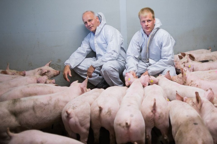 Der Präsident des Westfälisch-Lippischen Landwirtschaftverbandes, Johannes Röring, posiert zusammen mit seinem Sohn, Christian, in dessen Schweinestall.