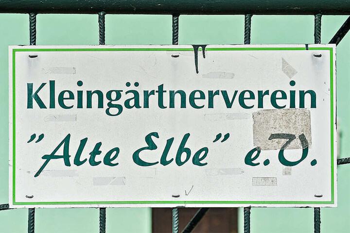 Auf den knapp 36 000 Quadratmetern der Gartensparte haben 126 Parzellen Platz.