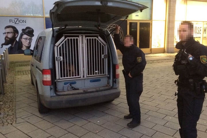 Beamte von Landes- und Bundespolizei sind mit Suchhunden vor Ort.