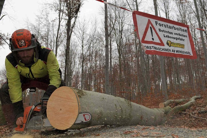 Ein Forstarbeiter blockiert die Straße mit einem Baumstamm am Burkhardtswald in Lauter.