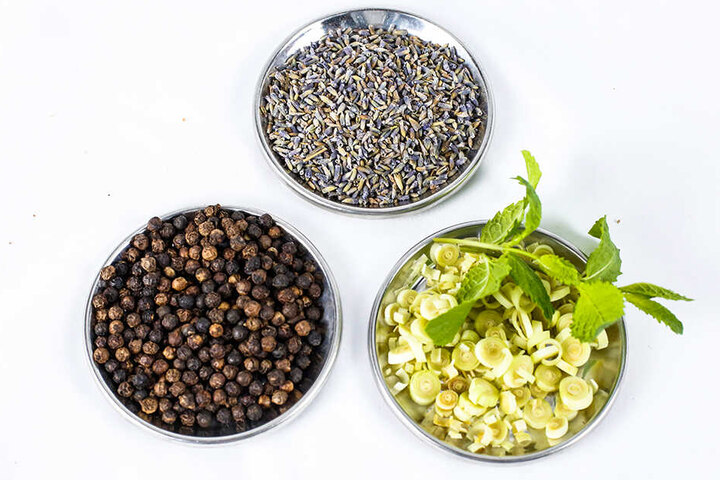 Lavendel, Pfeffer und Zitronengras: Das sind die ersten drei Zutaten für das besondere Tonic.