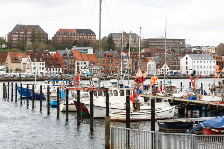 Blick über die Flensburger Förde auf das Westufer der Stadt.