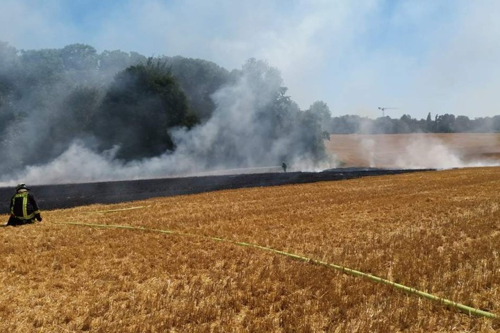 Das abgeerntete Feld war in Brand geraten.