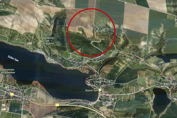 Der Einsatzort lag nördlich des Süßen Sees entlang der Seestraße.