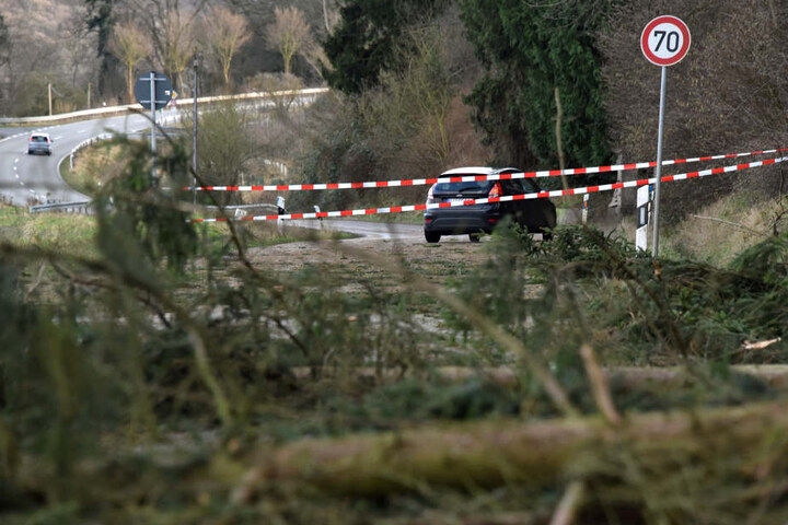 Mehrere entwurzelte Bäume blockierten in Hessen sogar ganze Straßen.
