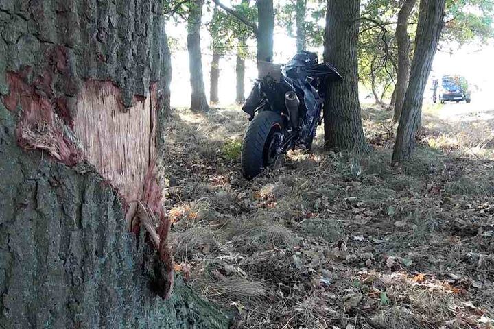 Unter anderem streifte der Motorradfahrer diesen Baum.