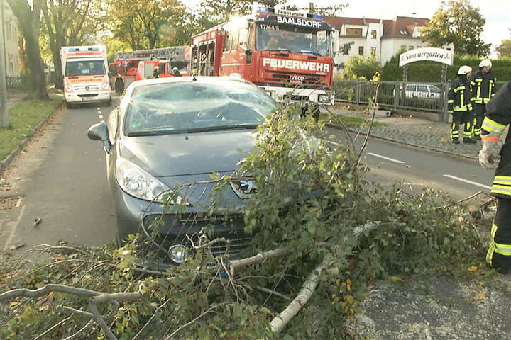 Der Baum krachte auf die Frontscheibe des Autos und rutschte dann auf die Fahrbahn.