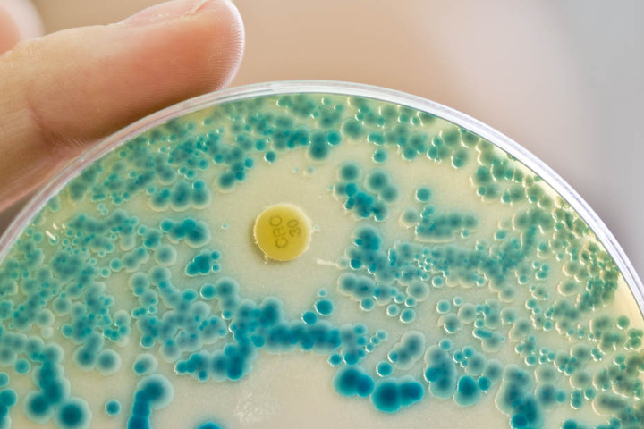 In Gewässern wurden antibiotika-resistente Keime entdeckt.