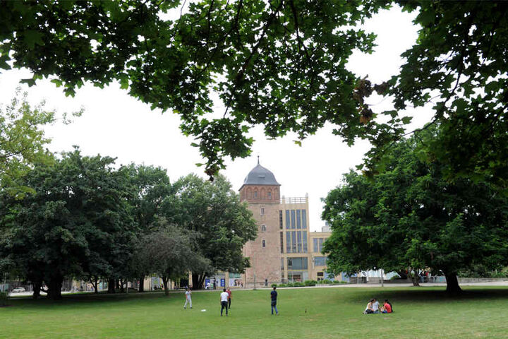 Zum Ende des Jahres will die Stadtverwaltung im Stadthallenpark Bäume und Sträucher entfernen lassen.