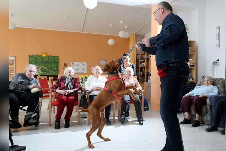 Mit kleinen Kunststücken gewinnen Olaf Ahlers (52) und Filou (6) die Herzen von Senioren.