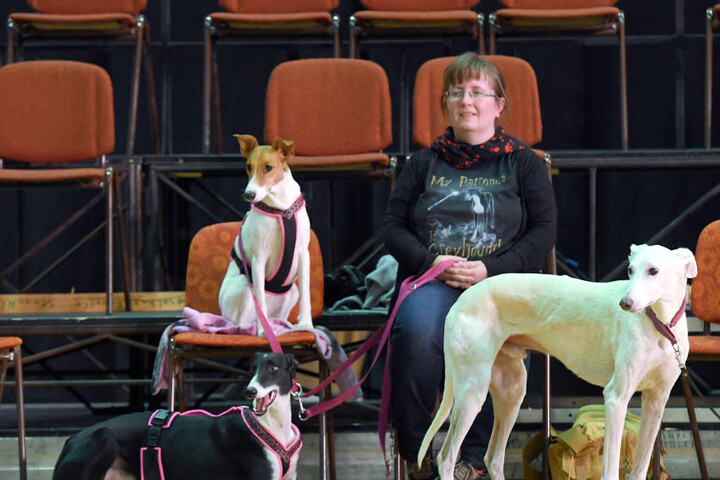 Für die Operette wurden englische Rassen wie Windhunde gesucht.