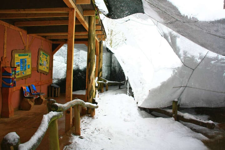 Die Netze der Voileren konnten den matschigen Schneemassen nicht standhalten. Nach einem Besuch im Vogelpark Marlow, schaute sich Harry Glawe auch im Wildpark MV um.