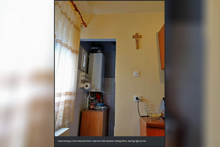 Na? Wo sitzt auf diesem Foto der heimliche Beobachter?