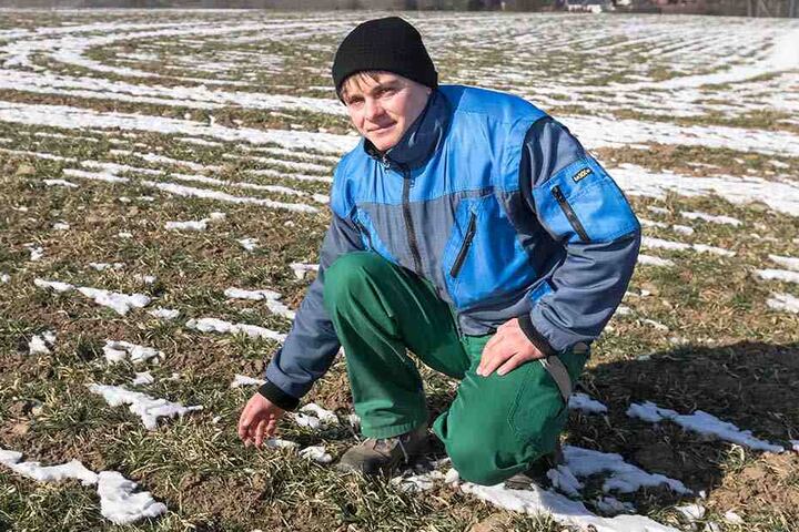 Phillip Weinitzke aus dem Vogtland bangt um das Wintergetreide. Der Boden ist mindestens zehn Zentimeter tief gefroren.
