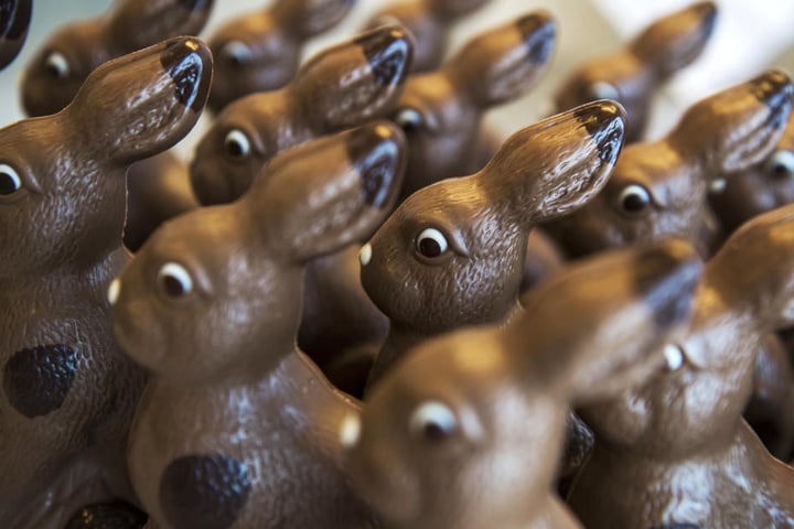 Osterhasen aus Schokolade wird man in Oldisleben auch entdecken können.