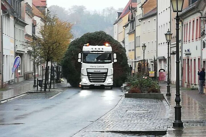 Der Baum stammt dieses Mal aus Altenhain. Per Laster wurde er in die Innenstadt gebracht.