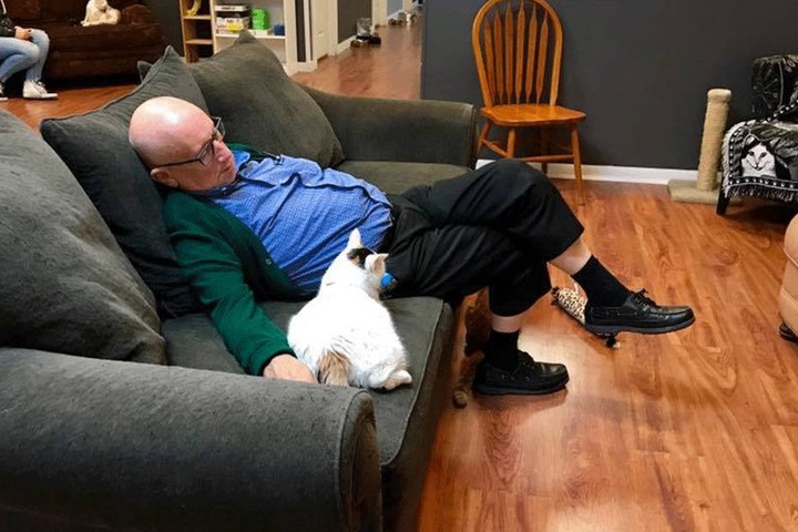 Terry Laurmen liebt Katzen und sie ihn.