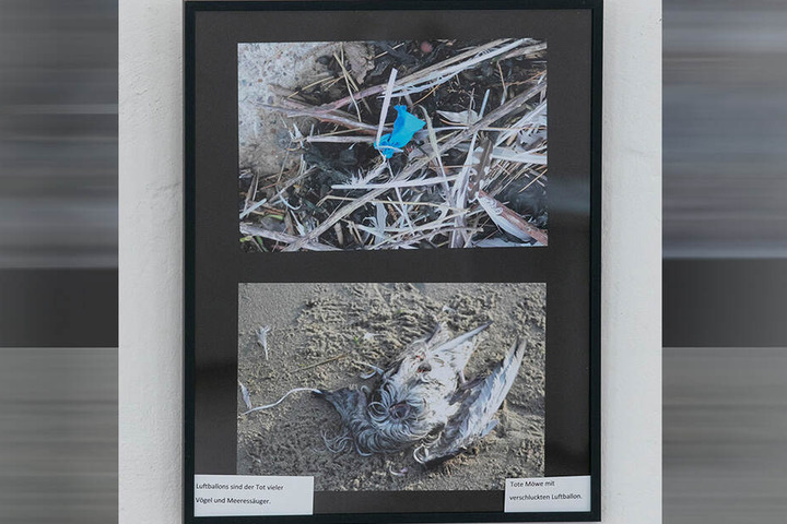 In seiner Ausstellung über das Wattenmeer zeigt Bernert, was dort als Todesfallen angeschwemmt wird.