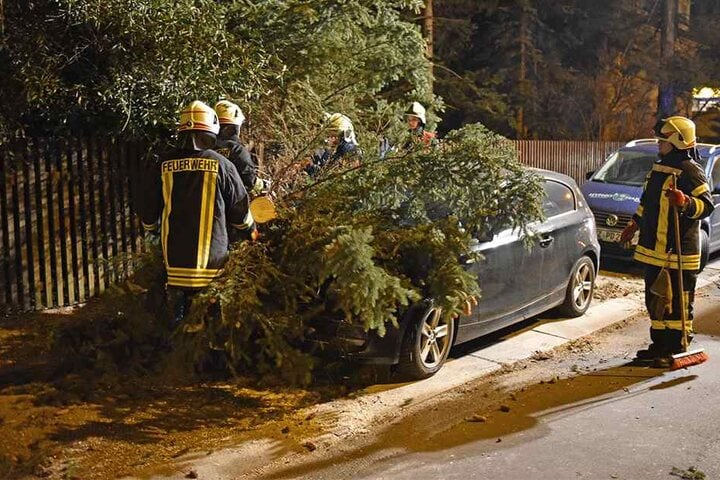 Feuerwehrleute befreiten den Wagen von dem Baum.