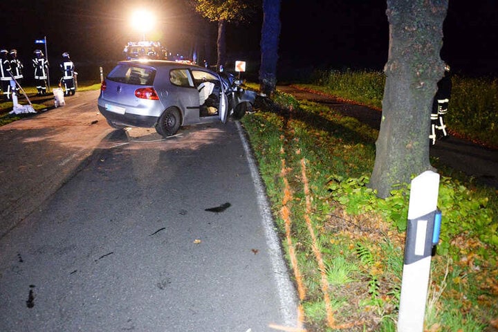 Frontal erwischte der Fahrer den Baum am Straßenrand.