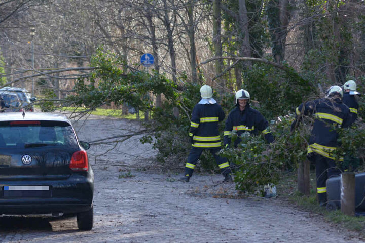 Die Feuerwehr in Erfurt rückte zu insgesamt 227 wetterbedingten Einsätzen aus.