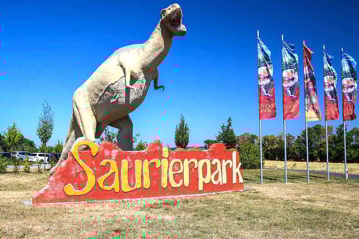 Den Saurierpark gibt es seit Ende der 70er-Jahre. Seitdem ist er kontinuierlich vergrößert worden.
