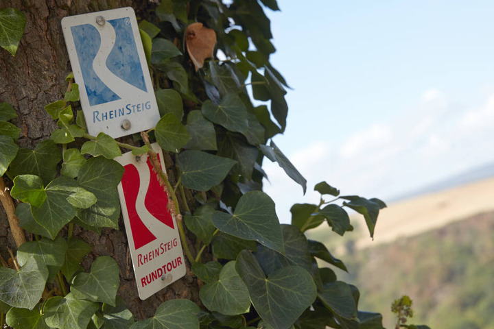 Markierungsschilder des Rheinsteig-Wanderwegs.