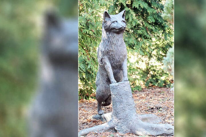 Der Fuchs wurde das erste Opfer der Buntmetalldiebe.