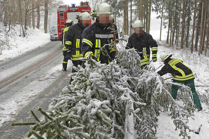 In Waldenburg musste die Feuerwehr eine Fichte beseitigen, sie war unter der Schneelast zusammengebrochen.