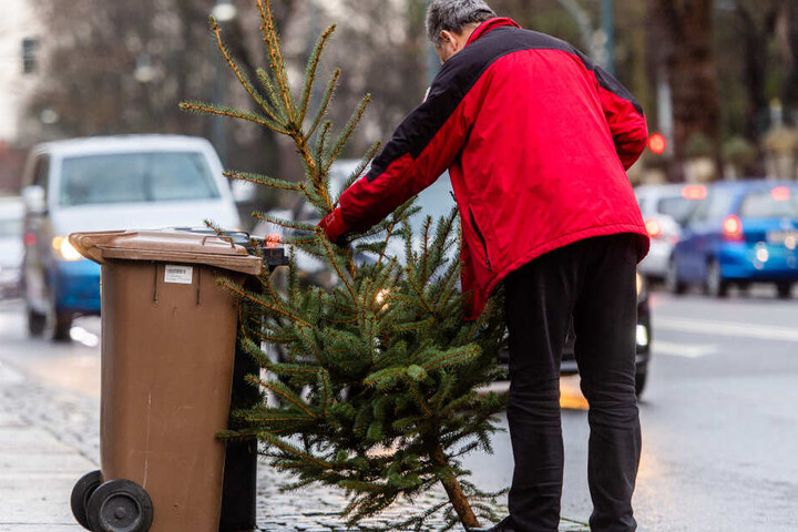 An vielen Orten werden die Weihnachtsbäume an bestimmten Daten von der Müllabfuhr entsorgt – wie hier im Januar in Chemnitz.