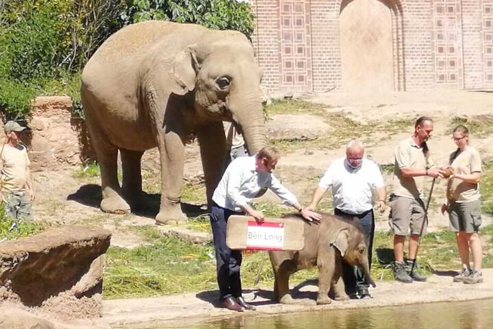 Vor gut zwei Wochen wurde der kleine Elefant endlich feierlich getauft.