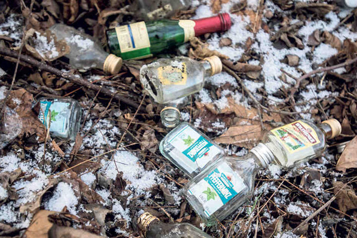 Kamenzer Flaschengrab: Immer wieder werfen die Saufkumpanen ihre leeren Pullen einfach ins Gebüsch.