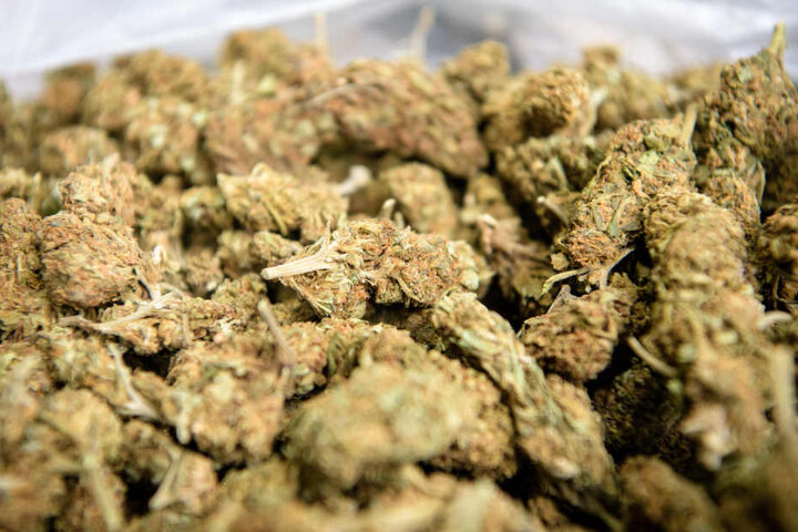 Beim Beifahrer fanden die Polizisten 25 Gramm Marihuana. (Symbolbild)