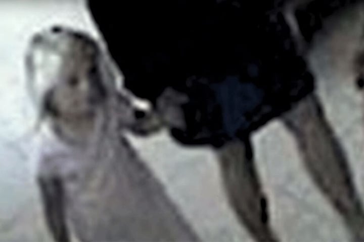 Ist auf diesem Videobild nach Maddies Verschwinden das Kind zu sehen?