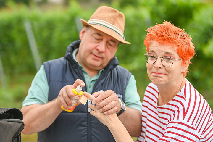 Wer schnell schneidet, kann sich auch schnell verletzen. Weingut-Chef Jörg Hahn macht ein Pflaster auf die kleine Wunde.