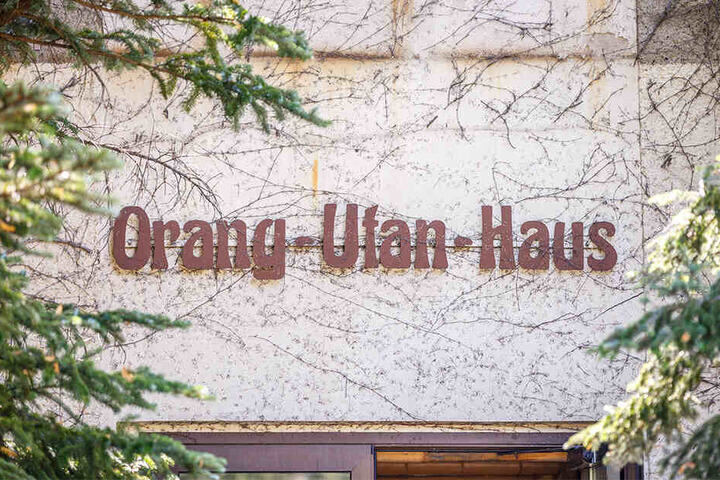 Das Orang-Utan-Haus wurde 1985 erbaut, ist nun ein Fall für die Justiz.
