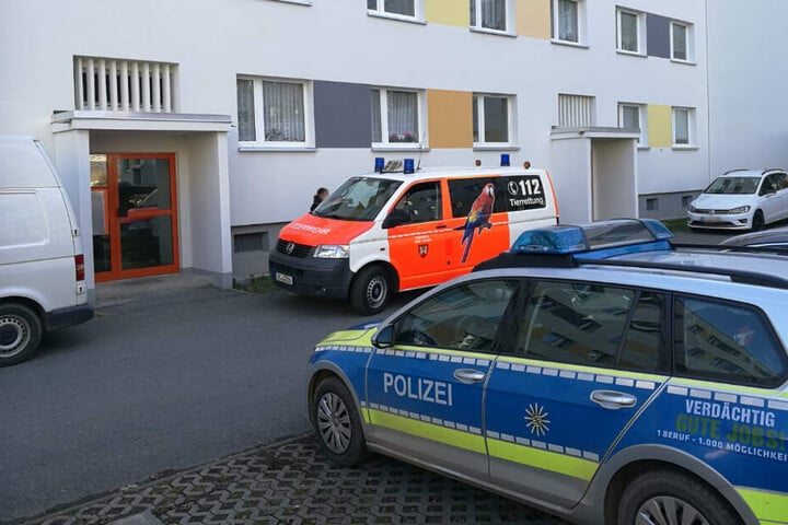 Die Polizei am Mittwoch in der Straße der Deutschen Einheit.