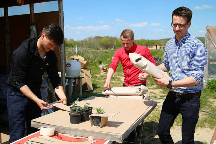 Philipp Munzert (28), Richard Hagedorn (30) und Tom Bauer (30) machen Euch zu Bio-Bauern.