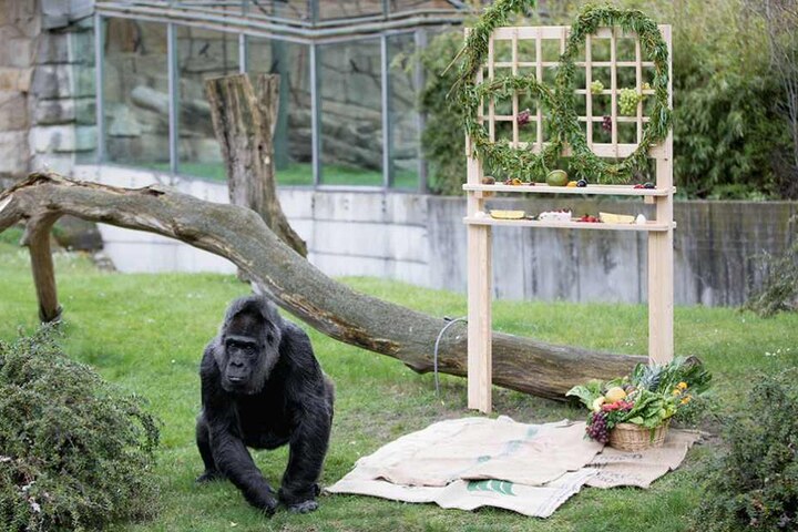 Fatou vor ihrem "Geburtstagstisch".