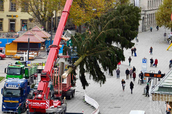 Ein riesiger Kran war nötig, um den Koloss auf dem Schlossplatz aufzustellen.